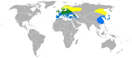 Foto: Eurasian siskin - răspândire